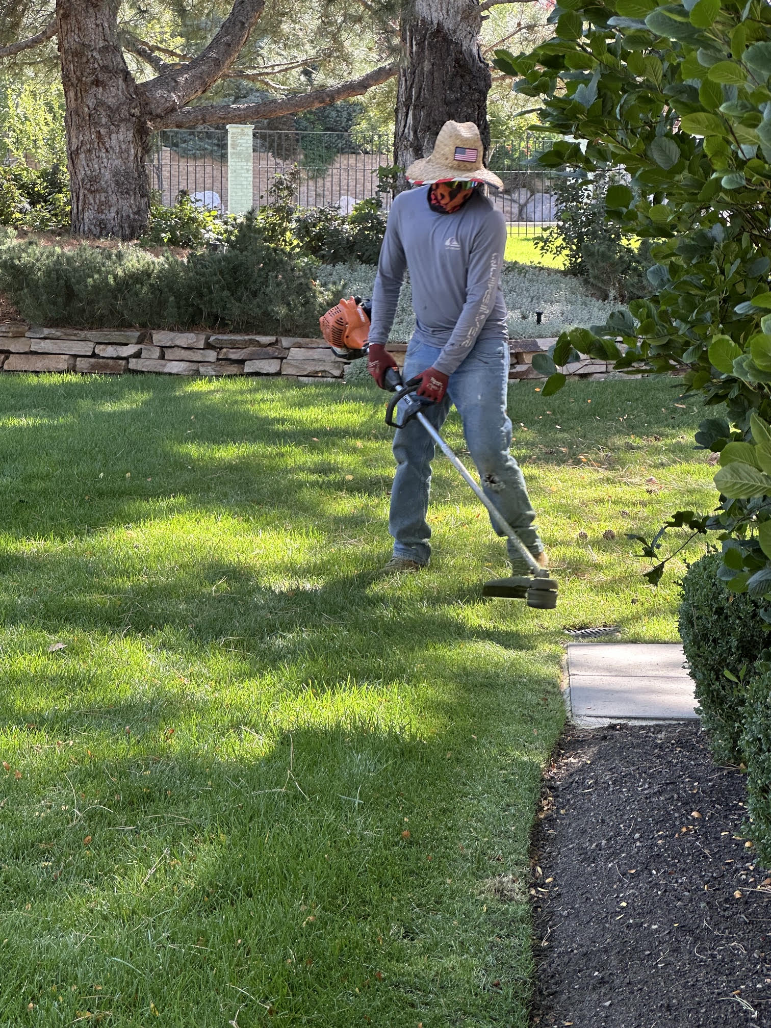 lawn-care-v